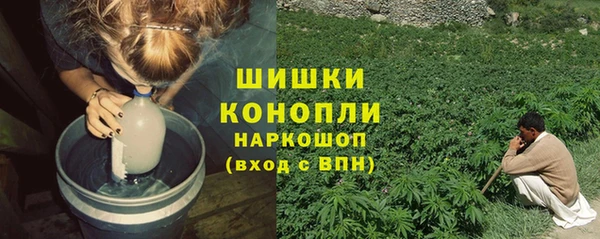 трава Медвежьегорск