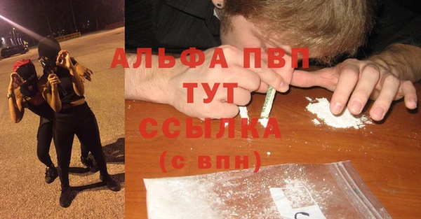 дмт Аркадак