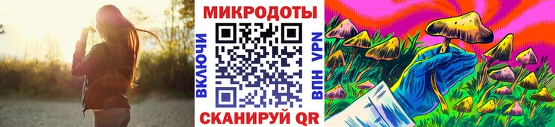 дарк нет официальный сайт  Алдан  Галлюциногенные грибы прущие грибы  как найти наркотики 